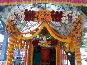 Ganpati Decoration with Zerbera Aurket Zendu Ladi Zumber